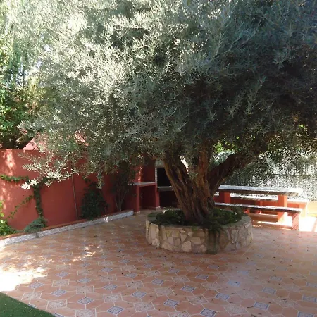 Mediterraneo 2005 Family Complex Lek Peñíscola Esterno foto