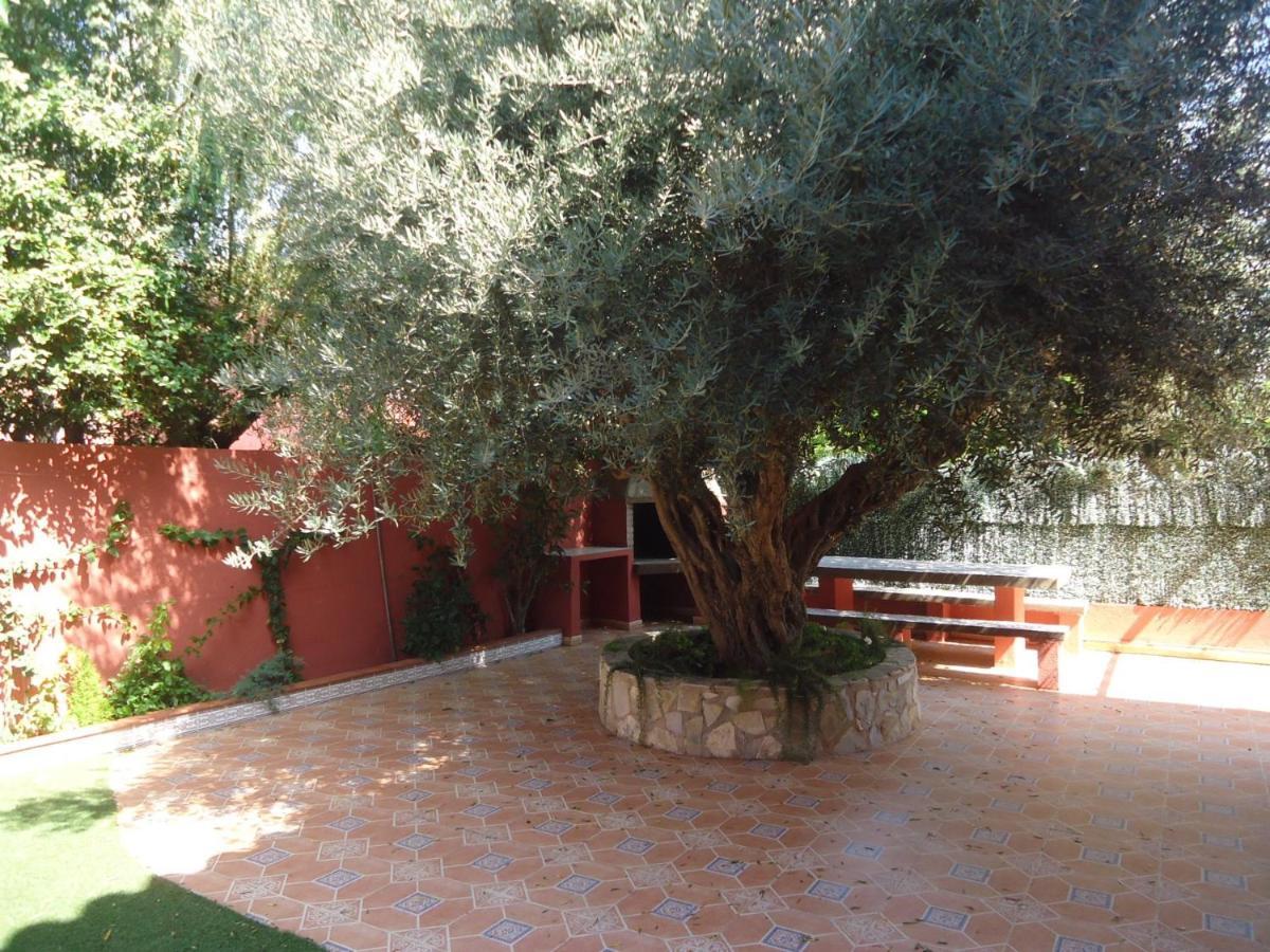 Mediterraneo 2005 Family Complex Lek